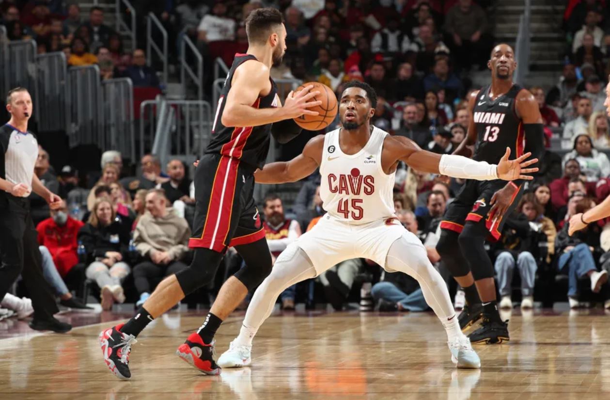 所表现出的 所表现出的