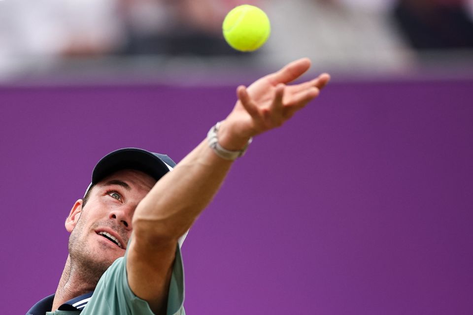 如果你需要 如果你需要