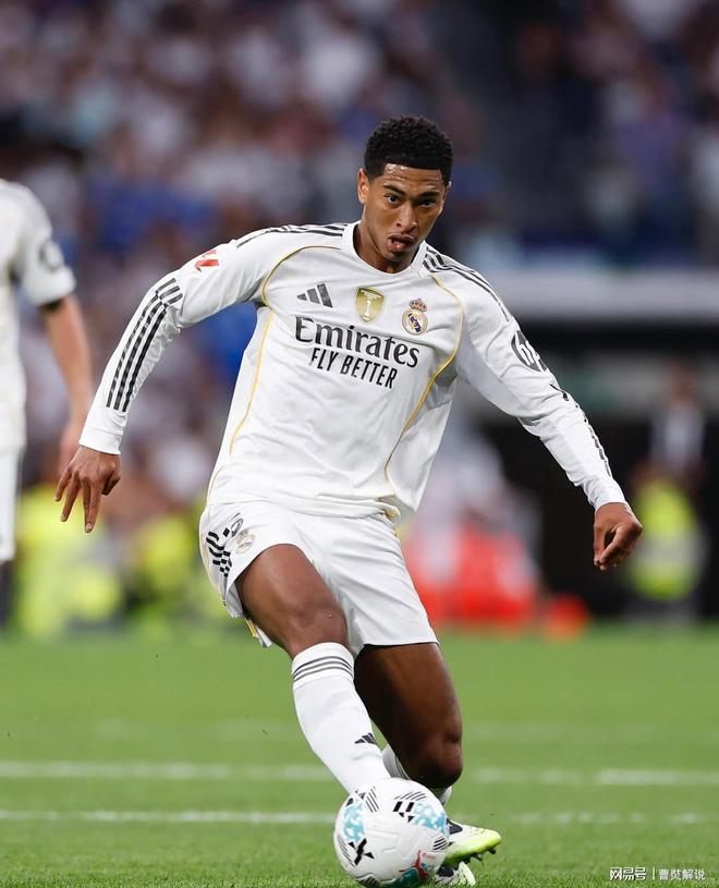 赛季中更容 赛季中更容