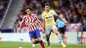 延续与微调 延续与微调